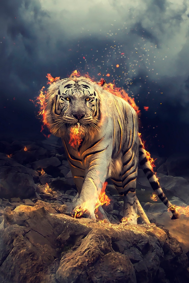 Огненный тигр идет по камням
