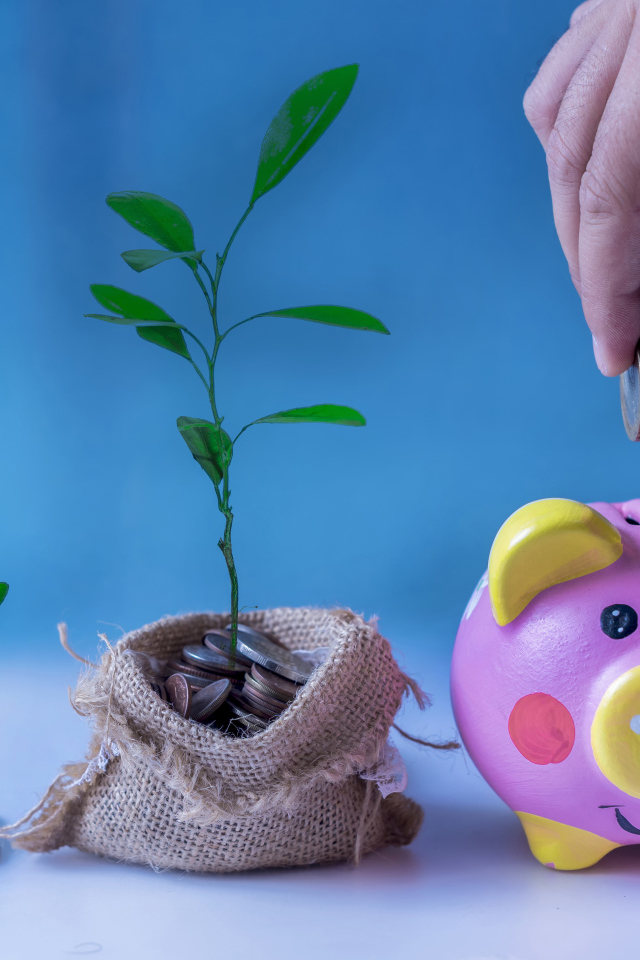 Свинья копилка и мешочек монет с денежным деревом на голубом фоне