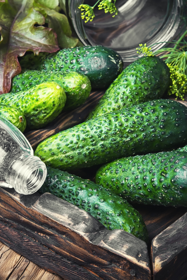 Свежие зеленые огурцы со специями на столе