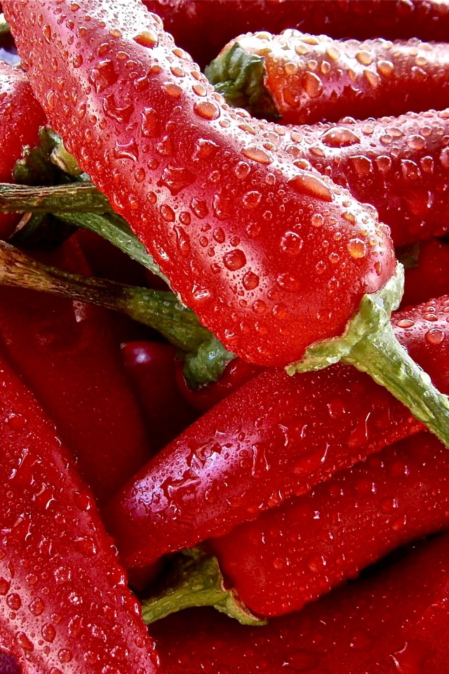 Красный перец чили в каплях воды крупным планом