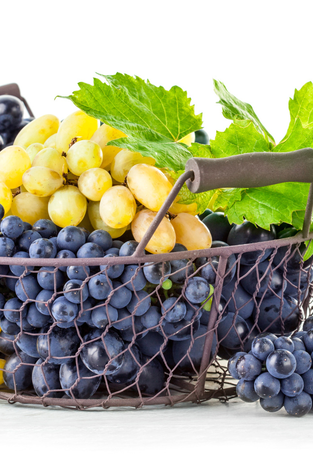 Корзина синего и белого винограда на белом фоне