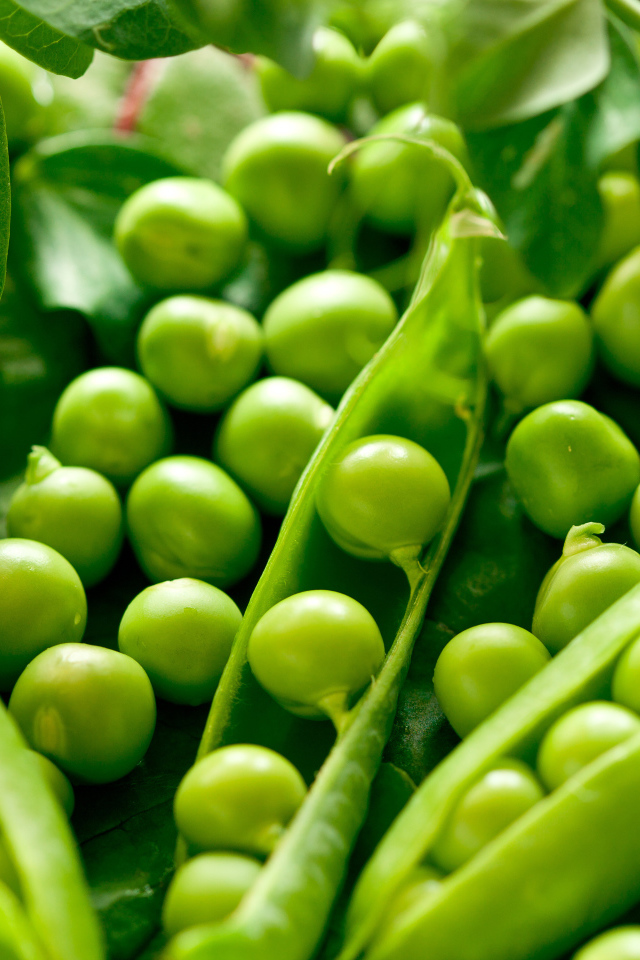 Свежий зеленый горошек крупным планом