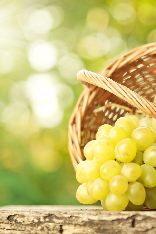 Крупный белый виноград в корзине