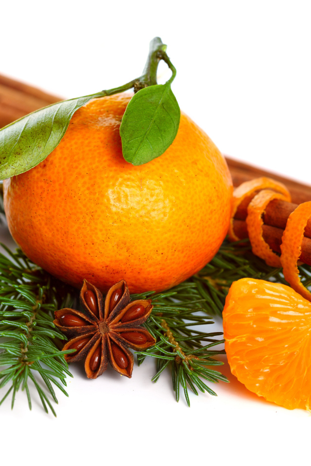 Мандарин с веткой ели, корицей и бадьяном на белом фоне