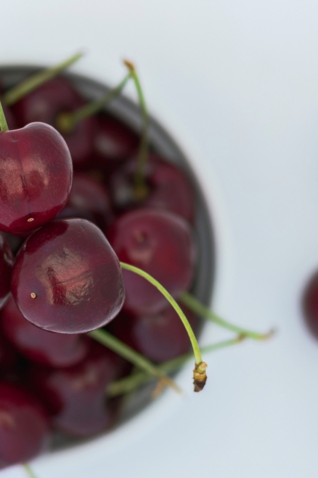 Спелые красные черешни лежат на столе
