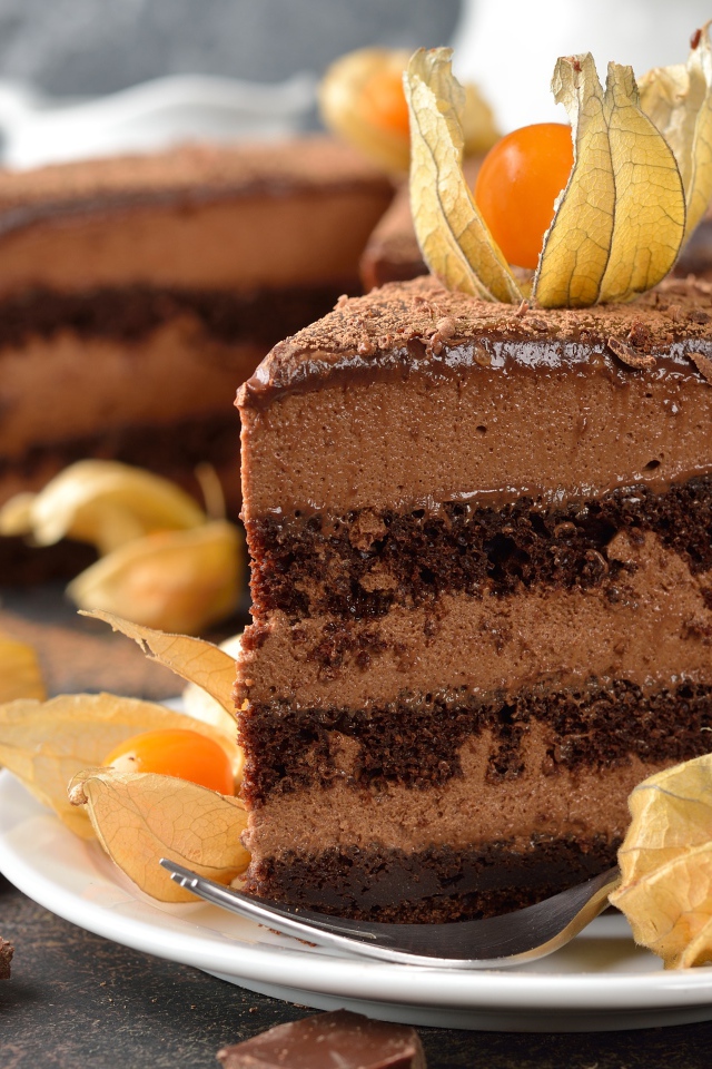 Кусок шоколадного торта с ягодами физалиса