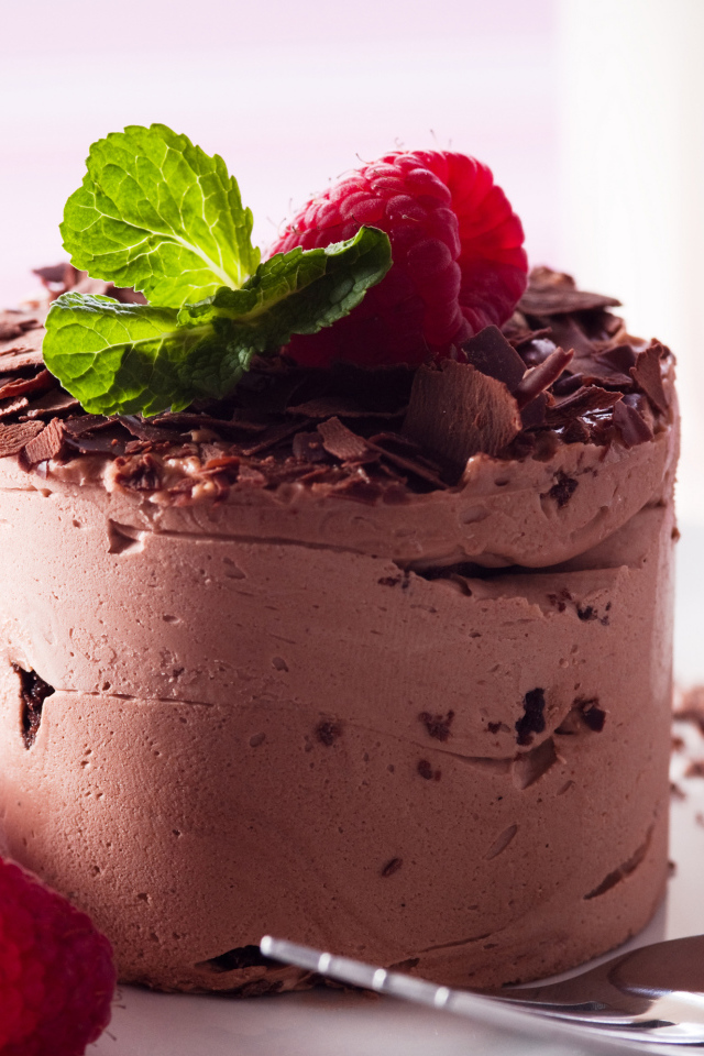 Аппетитный десерт с шоколадом и свежими ягодами малины