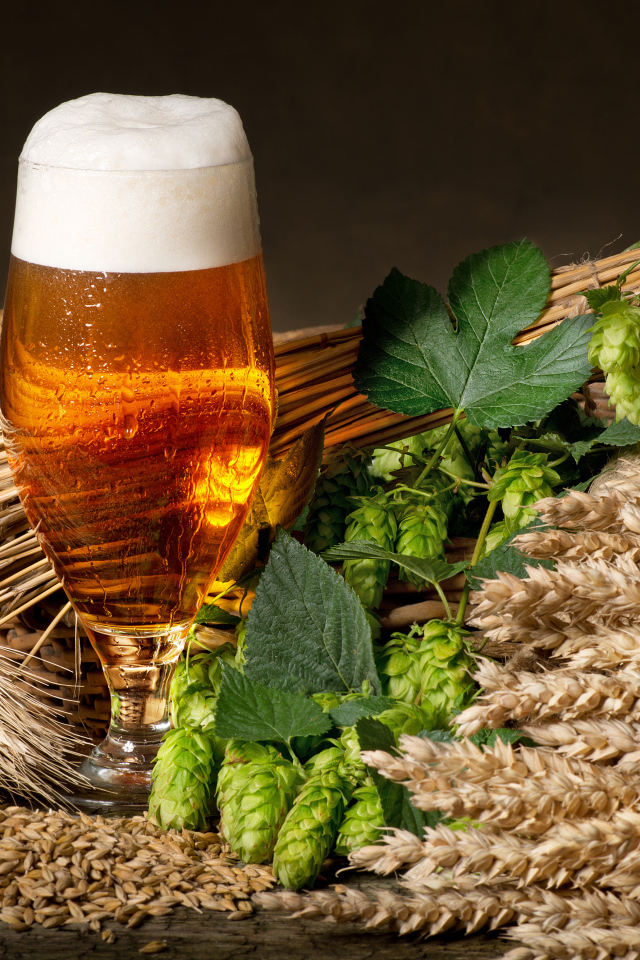 Бокал пива с хмелем и колосьями пшеницы 
