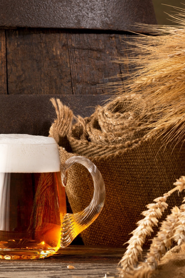 Два бокала пива и колосья пшеницы 