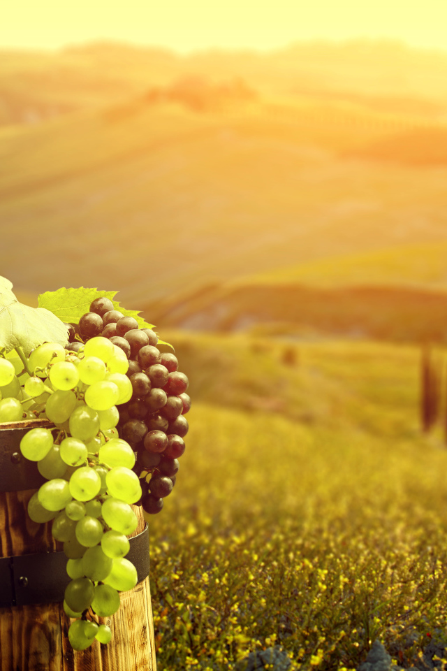 Два бокала с красным вином и свежий виноград на бочке 