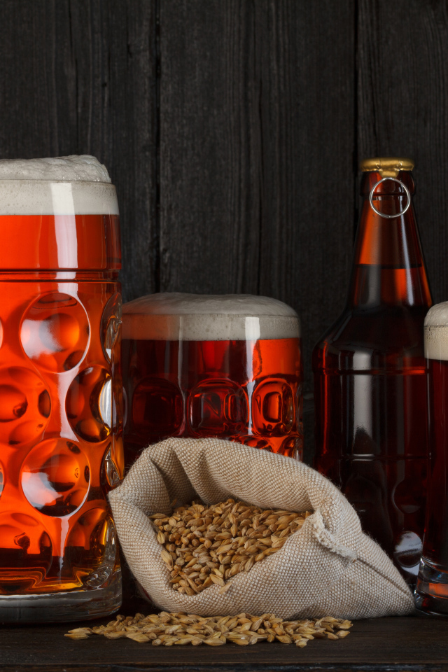 Пшеничное пиво в бокалах с сушеной рыбой вомер 