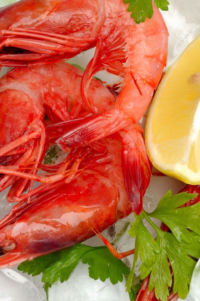 Вареные креветки с лимоном и кусочками льда