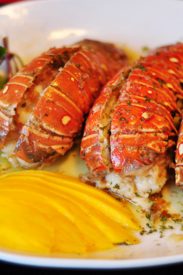 Омар с овощами на белой тарелке 