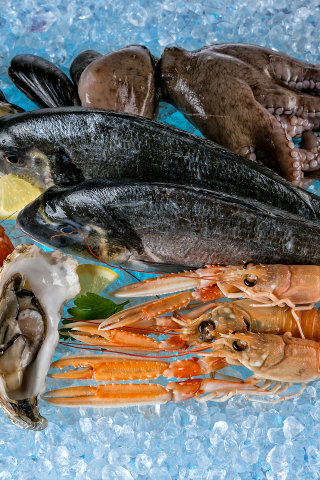 Морепродукты креветки, рыба, мидии лежат на льду