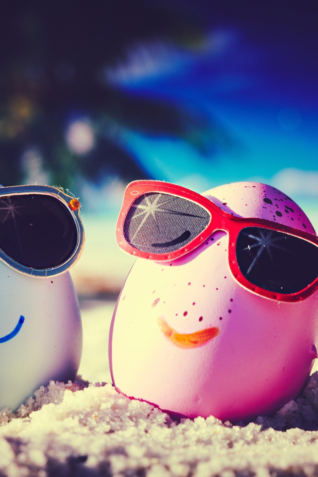 Two cool eggs in sunglasses on the beach
