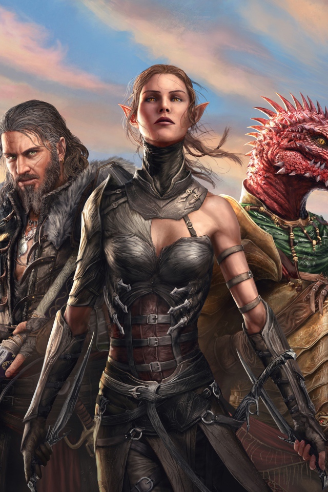 Персонажи игры Divinity. Original Sin II, 2017