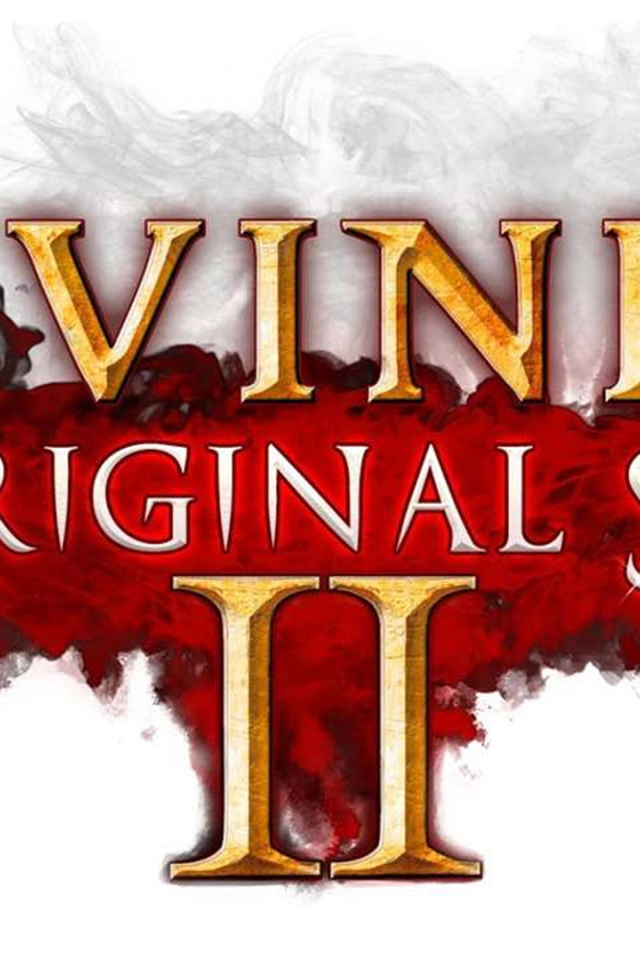 Постер с названием игры Divinity Original Sin II 
