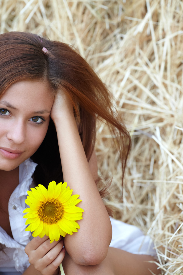 Милая девушка шатенка с цветком подсолнуха в руке