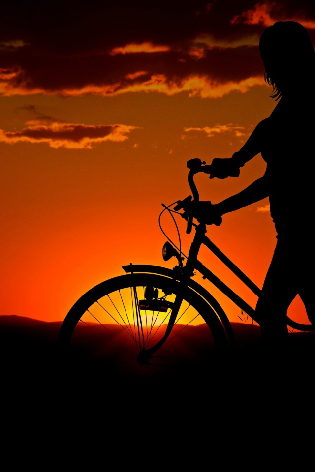 Девушка с велосипедом гуляет с собакой на закате солнца