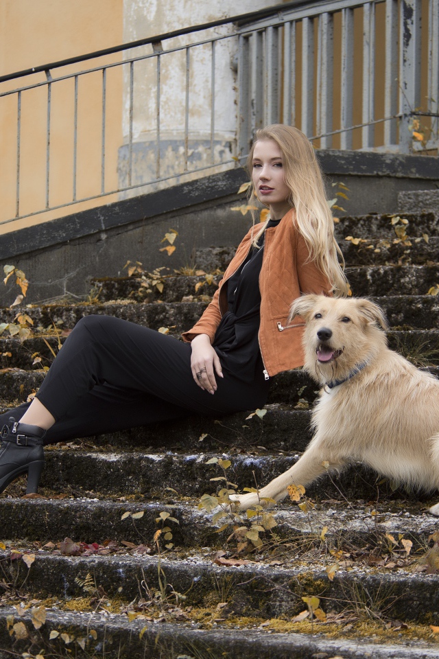 Молодая девушка сидит с собакой на старых ступеньках