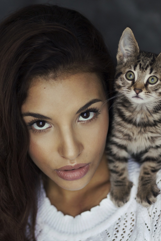 Красивая девушка с серым котенком на плече 