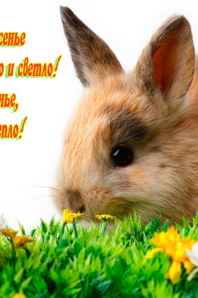 Поздравление со Светлым Христовым Воскресением 