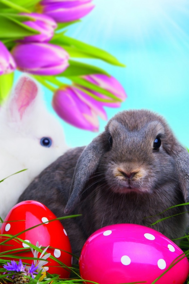 Разноцветные яйца и пасхальные кролики 