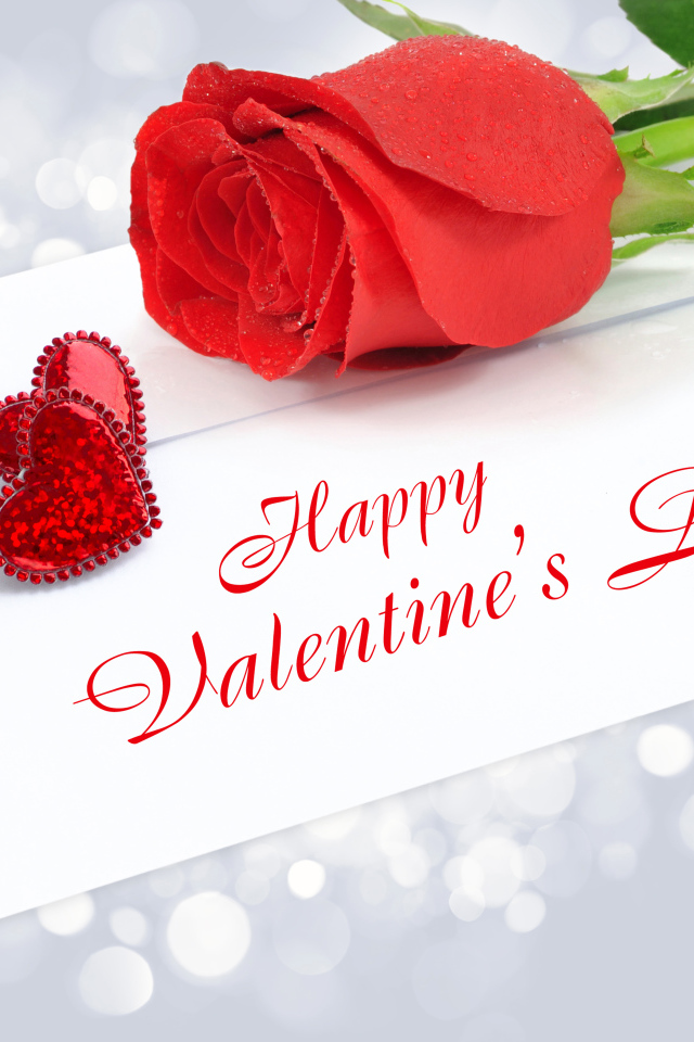 Красная красивая роза и письмо на День Святого Валентина, 14 февраля