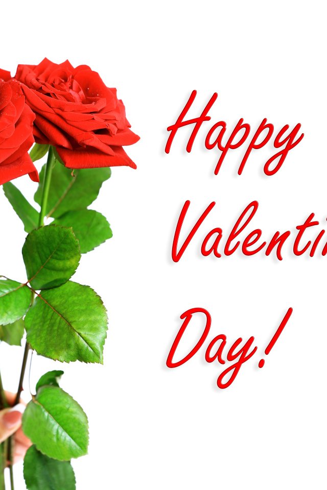 Три красных розы на День Святого Валентина, 14 февраля