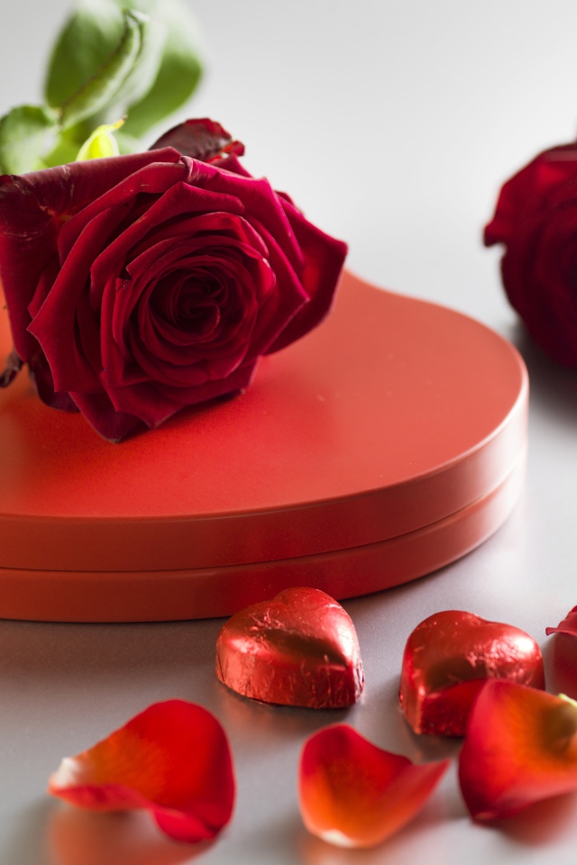 Большая красная коробка в форме сердца с шоколадными конфетами и красными розами