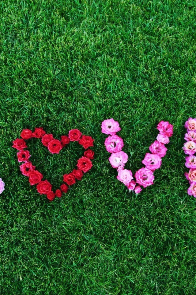 Надпись Любовь выложена из роз на зеленой траве