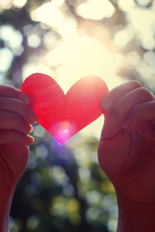 Бумажное сердце в руках 