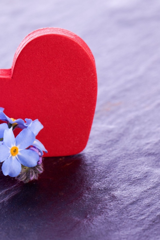 Красное сердце и нежные голубые цветы  