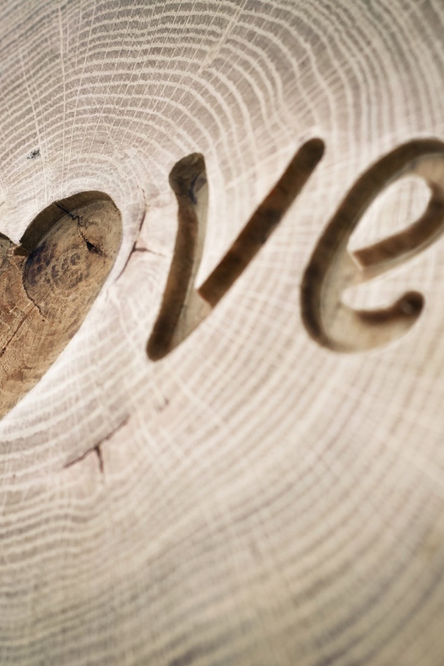 Надпись LOVE вырезана на дереве
