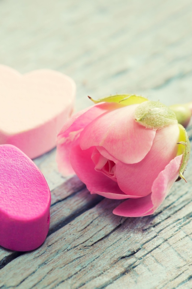 Два розовых сердца и розовая роза лежат на деревянной поверхности