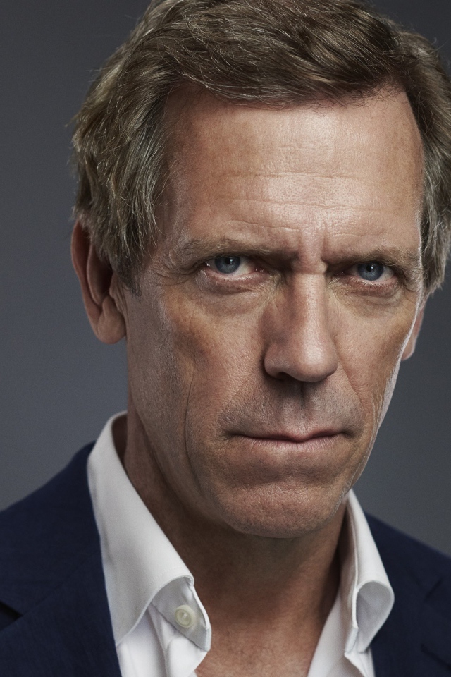 Популярный актер Хью Лори, фото на сером фоне