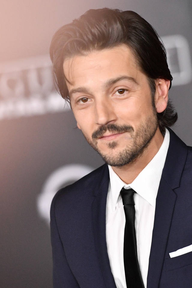 Молодой мексиканский актер  Диего Луна