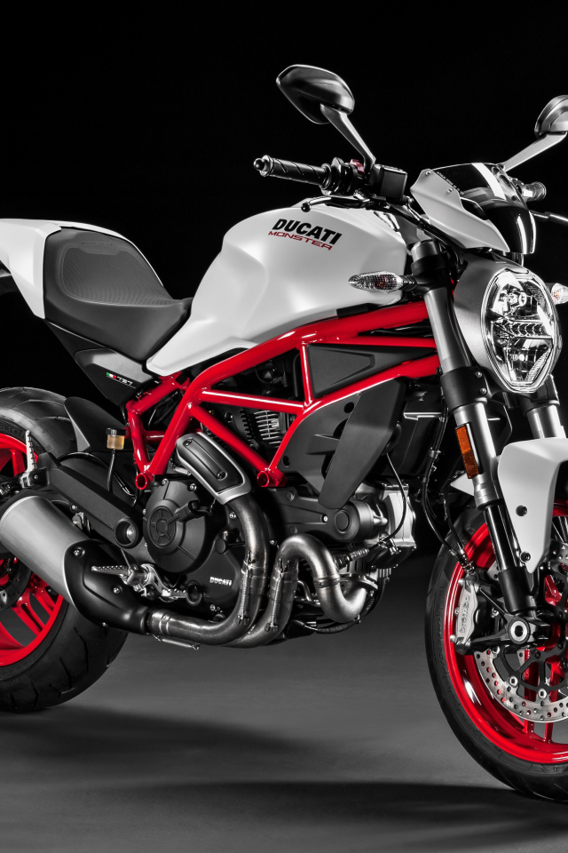 Стильный гоночный мотоцикл Ducati Monster 797 Plus, 2017