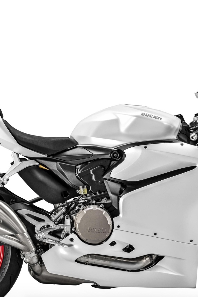 Супербайк Ducati 959 Panigale на белом фоне