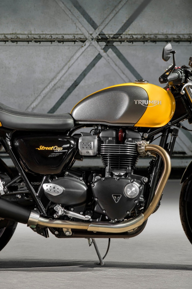 Мотоцикл Triumph Street Cup вид сбоку
