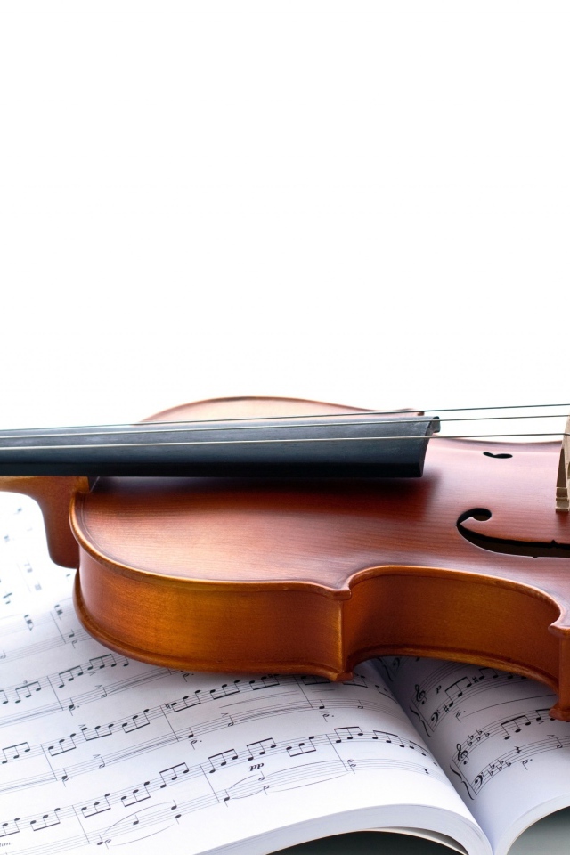 Скрипка лежит на нотах на белом фоне