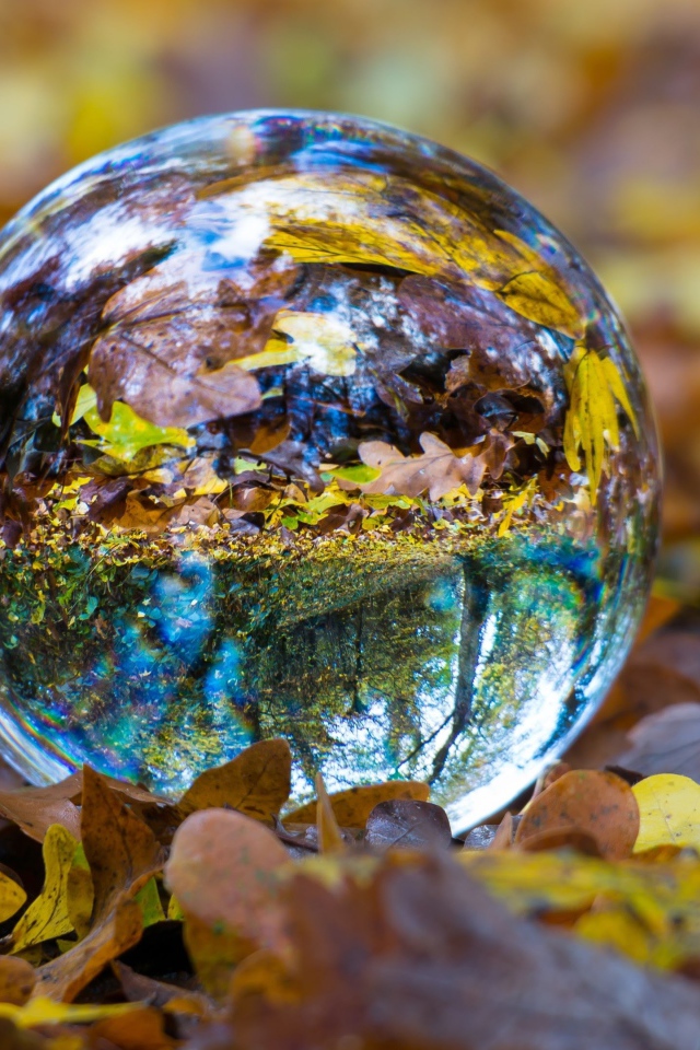 Стеклянный шар лежит на сухой желтой траве осенью