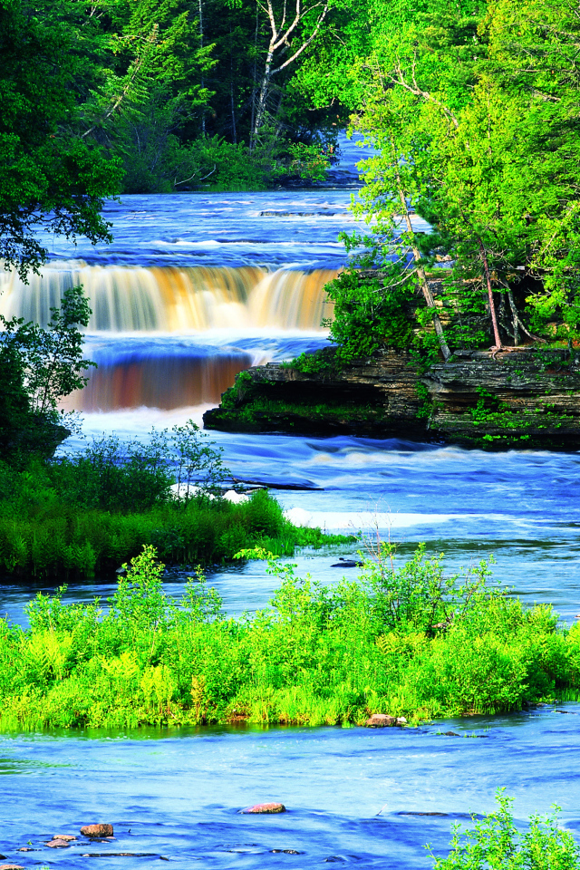 Живописная река с водопадом между зеленых деревьев 