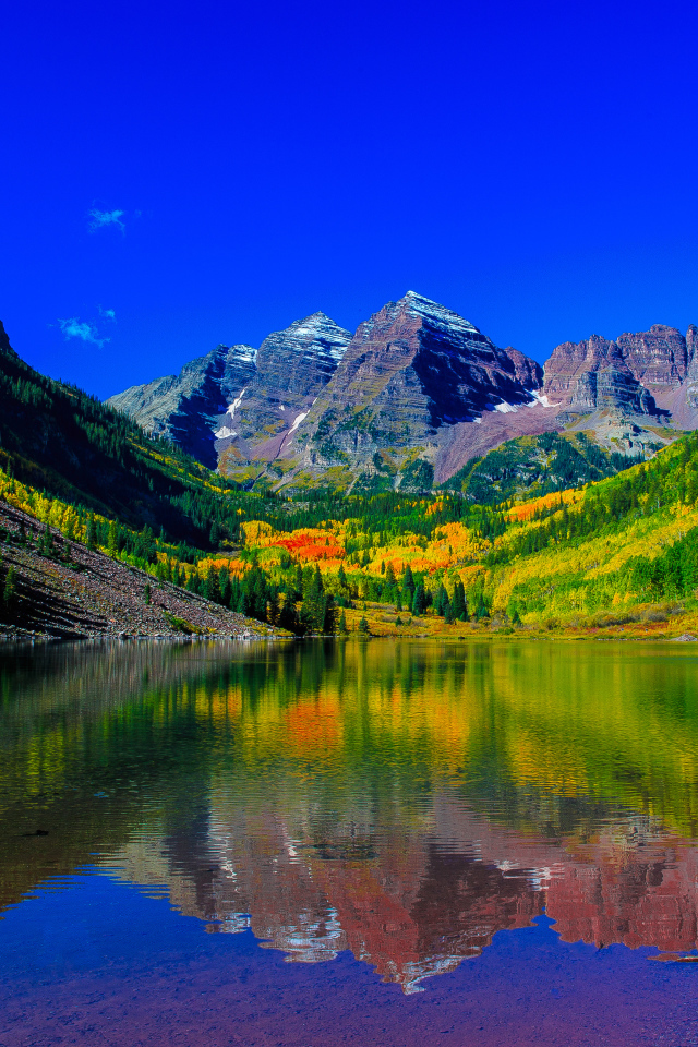 Красивая зеленая природа у водоема в горах 