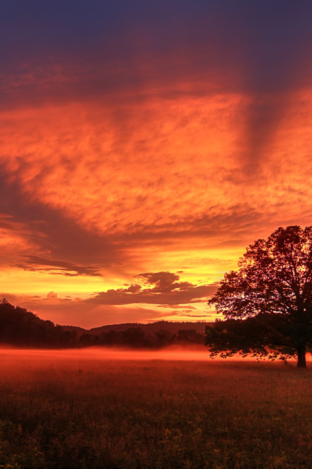 Красивое красное небо на закате  над полем