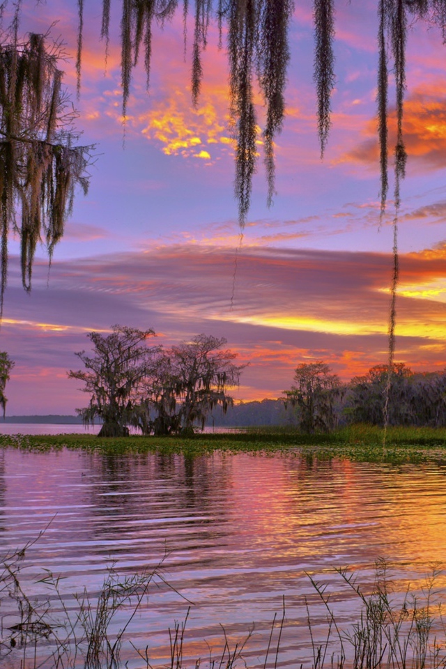 Красивое небо на закате над лесным озером