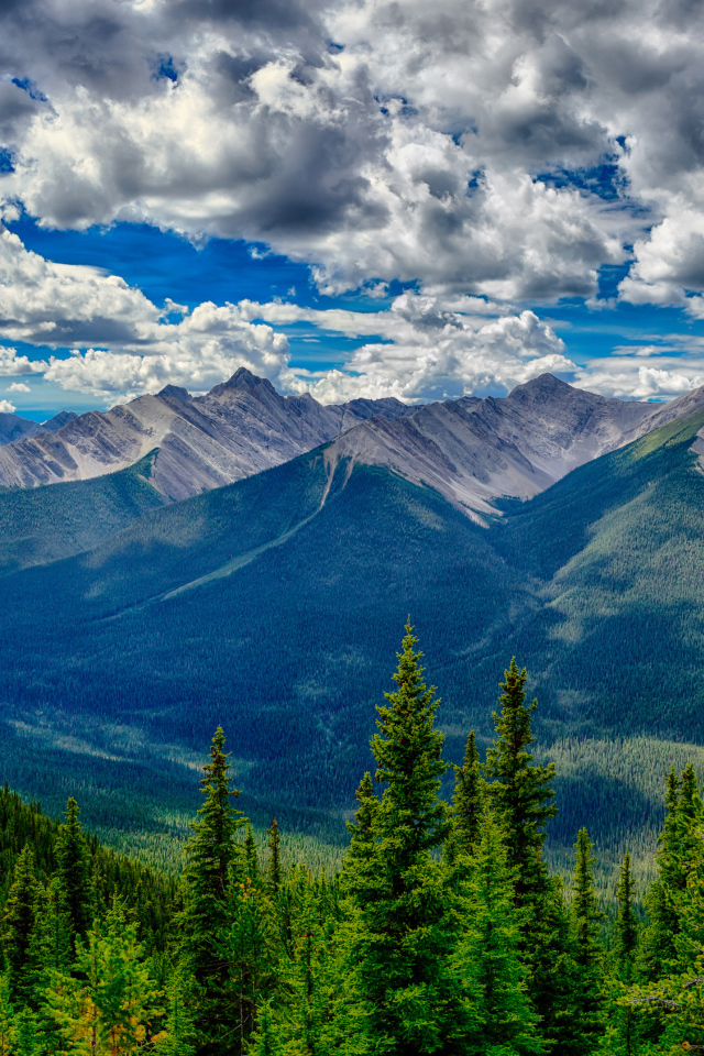 Красивое небо с белыми облаками над покрытыми лесом горами