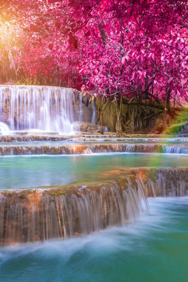 Красивые деревья с красными листьями у водопада 