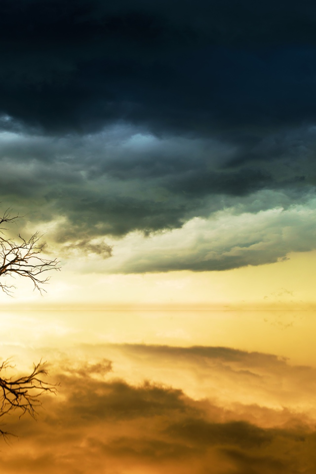 Черные облака в небе и дерево отражаются в воде