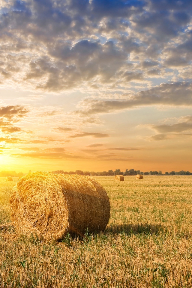 Яркое летнее солнце на закате над полем с соломой